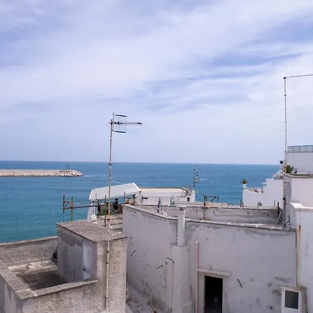 33 Monopoli