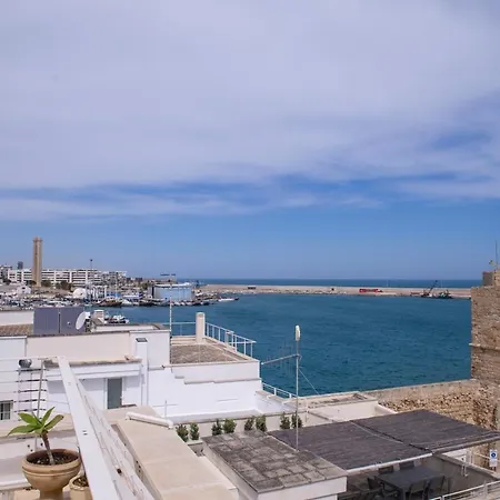 33 Monopoli